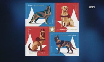 New postage stamps to honor military dogs