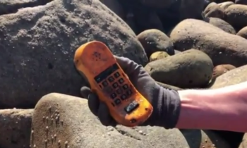 Mystery Solved: Garfield phones washing up on French beach for 35 years