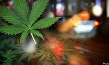 Vancouver leads Washington state in weed-involved wrecks