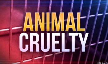 Tennessee woman charged with animal cruelty after taking animals to shelter in U-Haul van