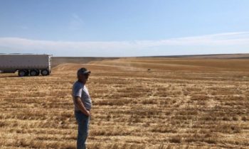 Community Comes Together To Help Harvest Ritzville Farmer’s Wheat While He Battles Cancer