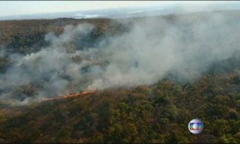 Amazon Rainforest wildfires burning at record rates