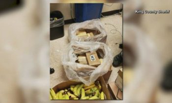 Over $1M in cocaine found in banana shipments at three Washington Safeway stores