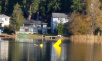 Pilot rescued by kayakers after small plane lands in western Washington lake