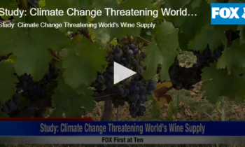 Study: Climate Change Threatening World’s Wine Supply