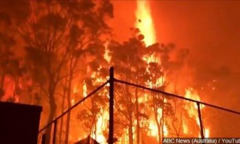 Two people from Washington among crews helping to fight devastating Australia bushfires