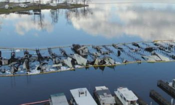 Coroner: 4 of 8 Alabama boat dock fire victims were children