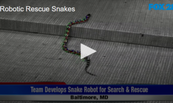 Robotic Rescue Snakes