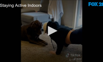 Creative ways to stay active indoors