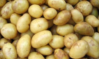 Washington farmers giving away nearly 20 tons of potatoes in Ritzville Wednesday morning