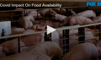 Covid Impact On Food Availability