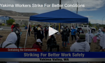 Yakima Workers Strike For Better Conditions