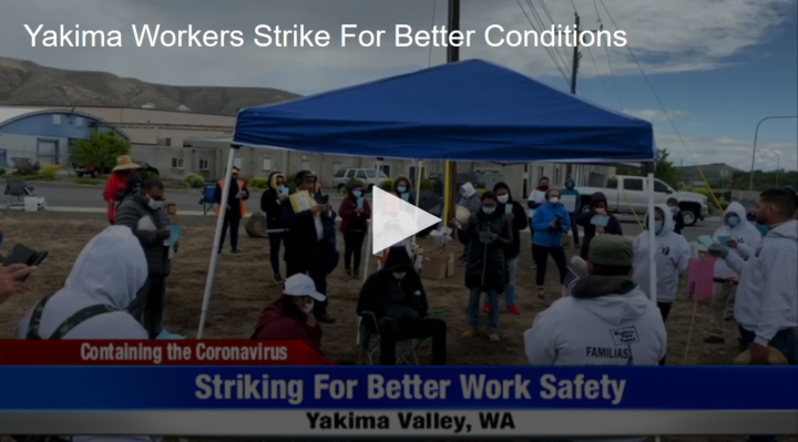 2020-05-20 Yakima Workers Strike For Better Conditions Fox 11 Tri Cities Fox 41 Yakima