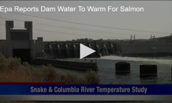 Epa Reports Dam Water To Warm For Salmon