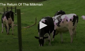 The Return Of The Milkman