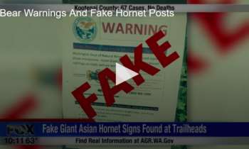 Bear Warnings And Fake Hornet Posts