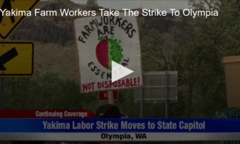 Yakima Farm Workers Take The Strike To Olympia