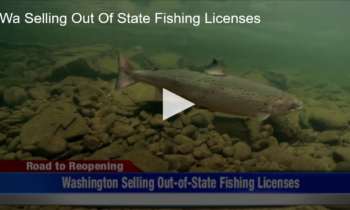 WA Selling Out Of State Fishing Licenses