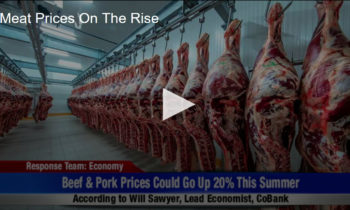 Meat Prices On The Rise