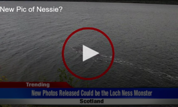 New Pic of Nessie?