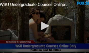 WSU Undergraduate Courses Online Only