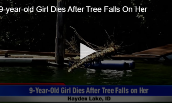 9-year-old Girl Dies After Tree Falls On Her