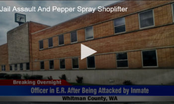 Jail Assault And Pepper Spray Shoplifter