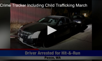 Crime Tracker Including a Child Trafficking March