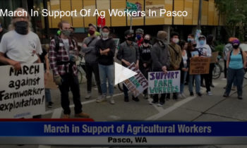 March In Support Of Ag Workers In Pasco