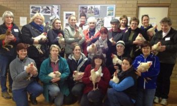 WHAT CAN YOU LEARN ABOUT DOG TRAINING WHEN YOU’RE TRAINING A CHICKEN?