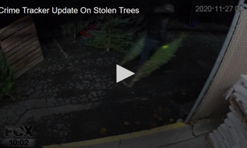 Crime Tracker Update on Stolen Trees