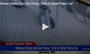 Woman Drives into Gas Pump, Tries to Steal Police Car