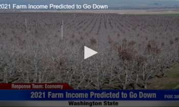 2021 Farm Income Predicted to Go Down