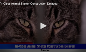 Tri-Cities Animal Shelter Construction Delayed