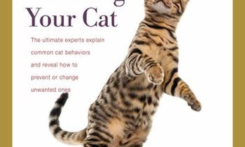 BORROW A BOOK ABOUT CATS ONLINE FROM YOUR PUBLIC LIBRARY