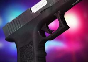 FCSO promotes firearm safety after accidental shooting