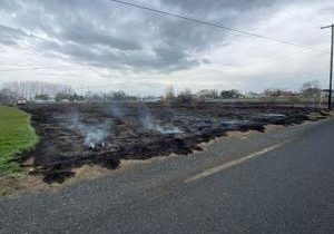 Hit-and-run crash causes vegetation fire in Benton County