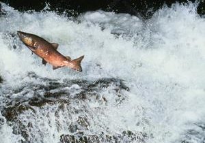 Historic Columbia River Agreement signed at White House