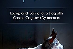 CANINE COGNITIVE DYSFUNCTION: PERSONAL STORIES AND SUGGESTIONS