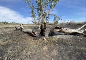 Bateman Island reopens after lightning causes 2.5 acre fire