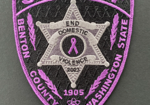 BCSO releases end domestic violence patch