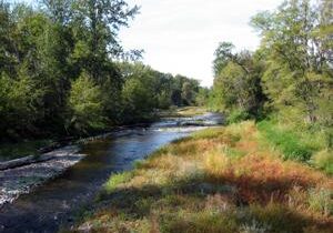 Local counties get environmental restoration grants