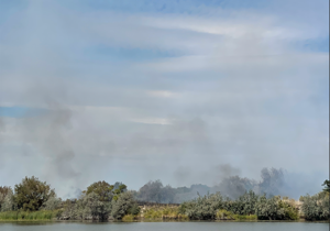 Tri-Cities firefighters respond to wildfire on Bateman Island