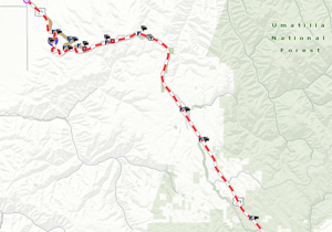 Dense fog closes 49 miles of I-84 east of Pendleton