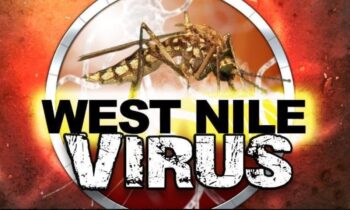 Two cases of West Nile confirmed in Walla Walla, Franklin County residents