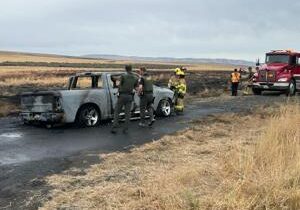 Stolen car starts brush fire in Benton County