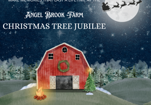 The Annual Angel Brook Christmas Tree Jubilee will begin Nov. 24