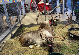 Santa’s reindeer visit Coastal in Yakima