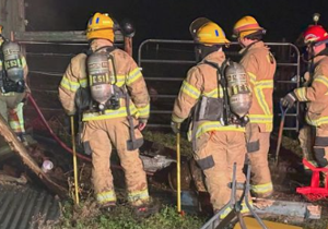 No animals or people hurt in West Valley heat lamp fire