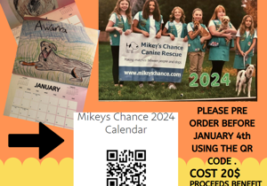 Kennewick Girl Scouts Partnering with Mikey’s Chance